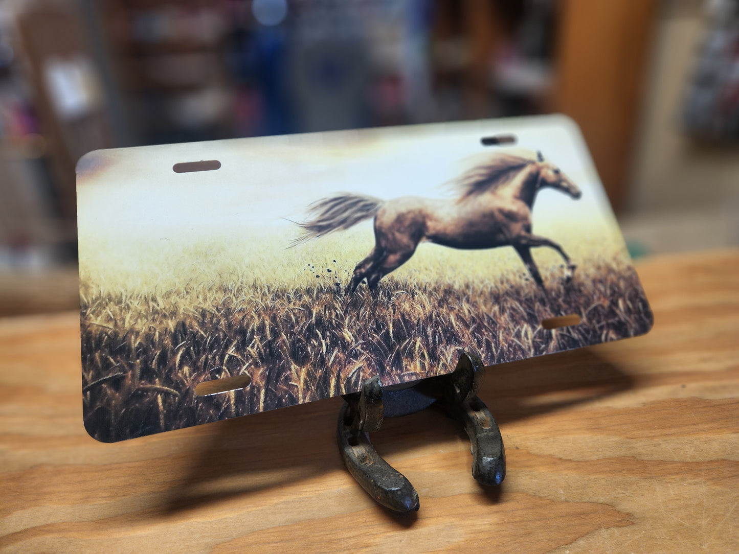 Running Free Horses